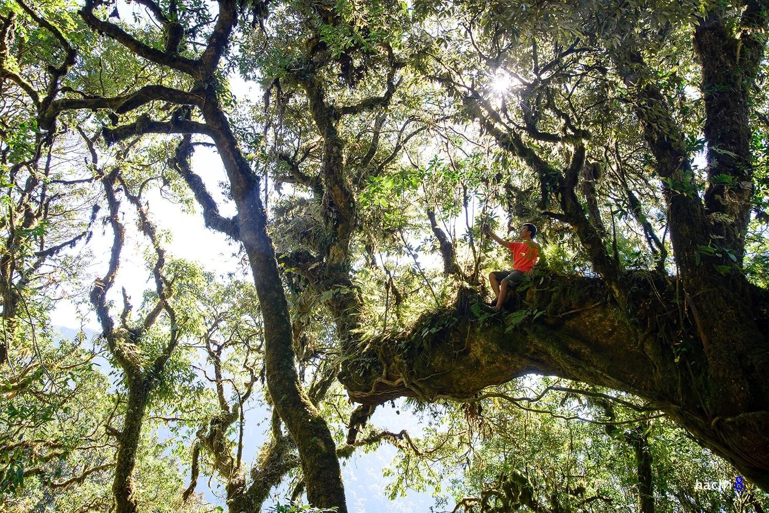 Northern Vietnam Hike Tour 7 Day